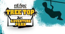 Tree Top Adventure Park.
