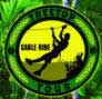 Treetop Tour.