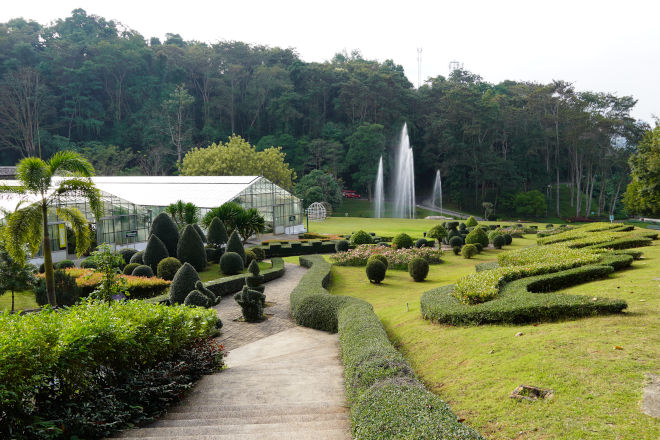 Queen Sirikit Botanic Garden