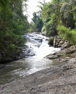 Mae Sa Waterfall. Vandfald