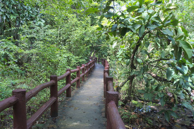 Betonbro gennem skoven