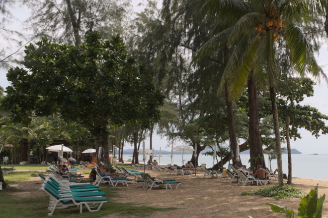 Liggestole i træernes skygge