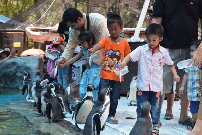 Khao Kheow Open Zoo