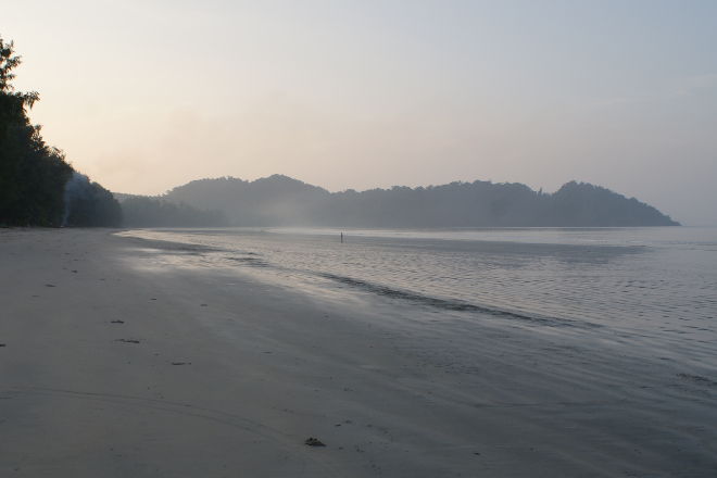 Morgendukkert ved solopgang