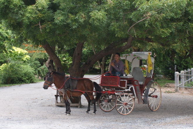 Transport med hestevogn