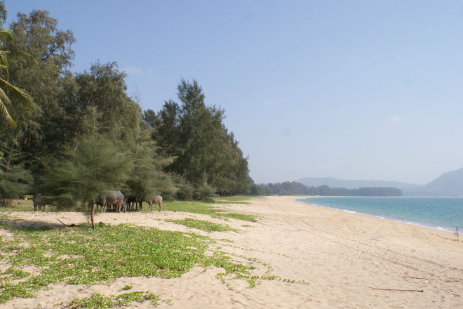 Mai Khao Beach