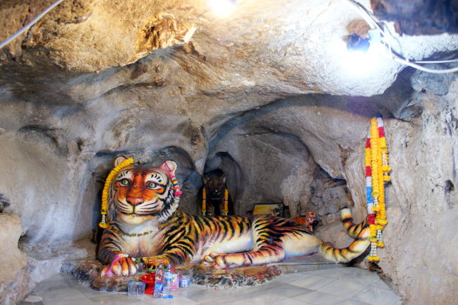 Tiger Cave