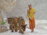Tiger Temple